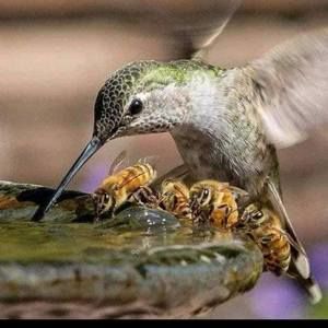 Meet your Posher, Lynette